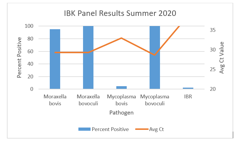 graph showing IBK panel results for summer 2020