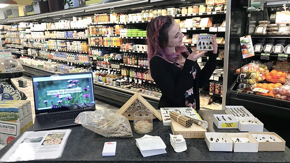 Courtney Wallner talking about native bees, their habitats and native bee health at a local co-operative grocery store.