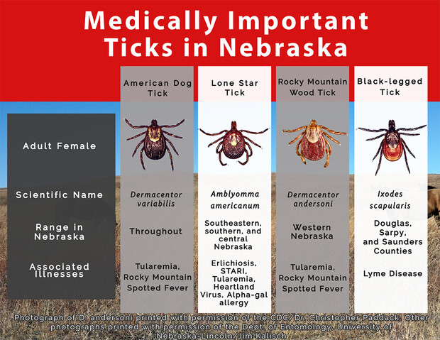 Ticks in Nebraska.