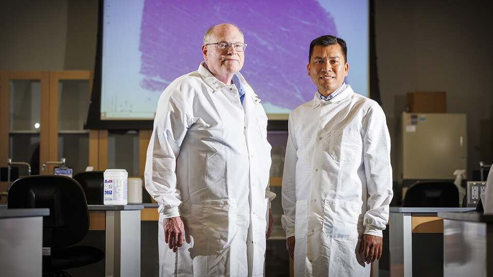 Scott McVey (left), professor and director of Nebraska’s School of Veterinary Medicine and Biomedical Sciences, and Hiep Vu, assistant professor of animal science at Nebraska, are working to catalog a pig’s protective proteins against the lethal African swine flu. Their work could lead to new breakthroughs in fighting the disease.