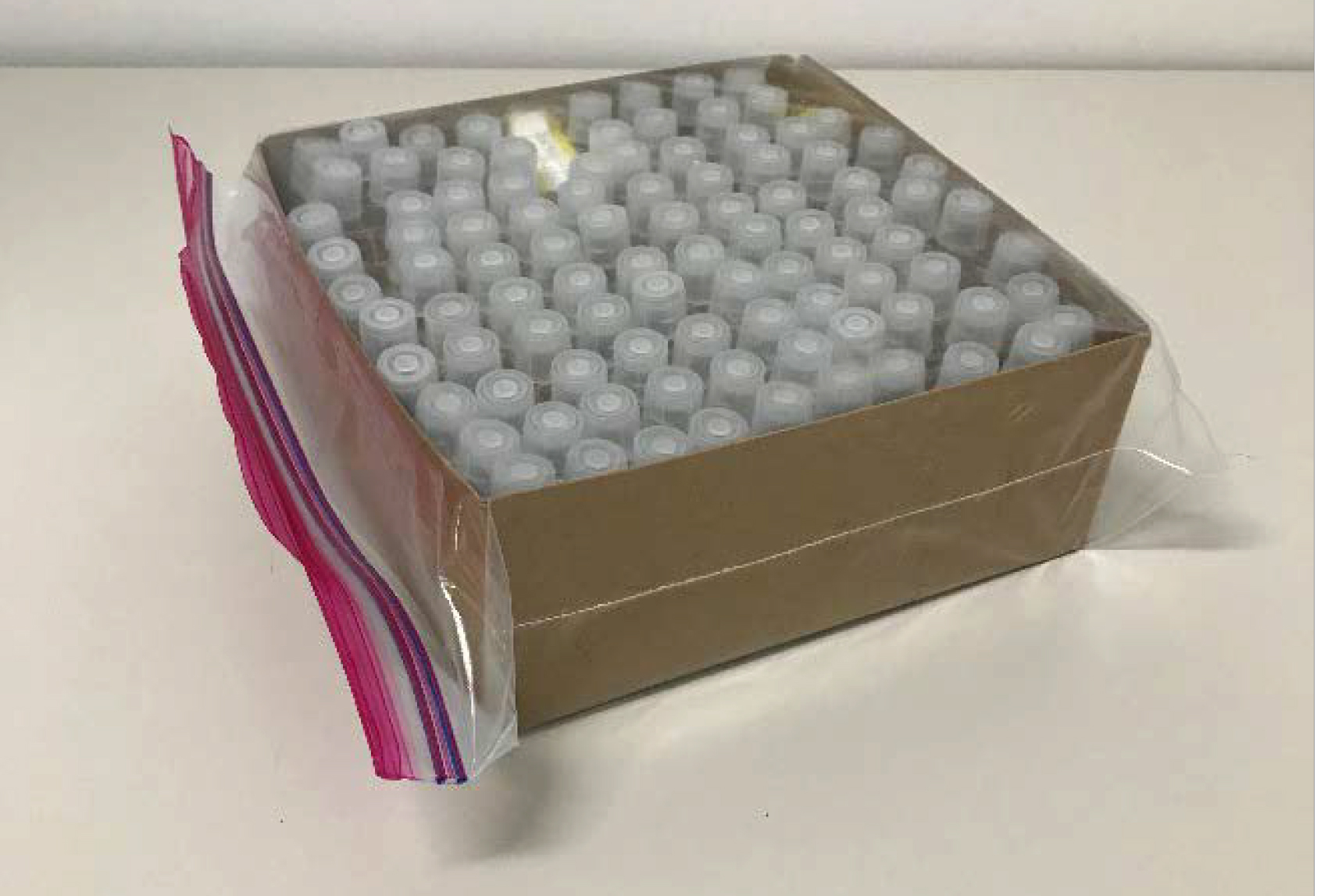Photo showing tubes standing inside of a cardboard box that is inside a zip-top bag.
