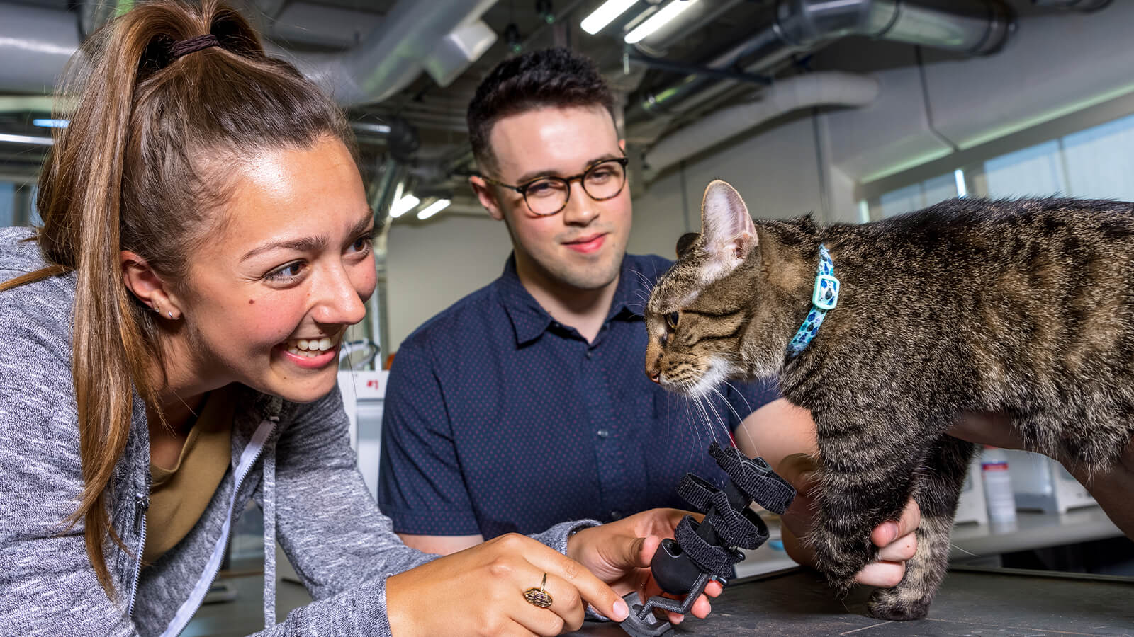 Students looking at cat on exam table