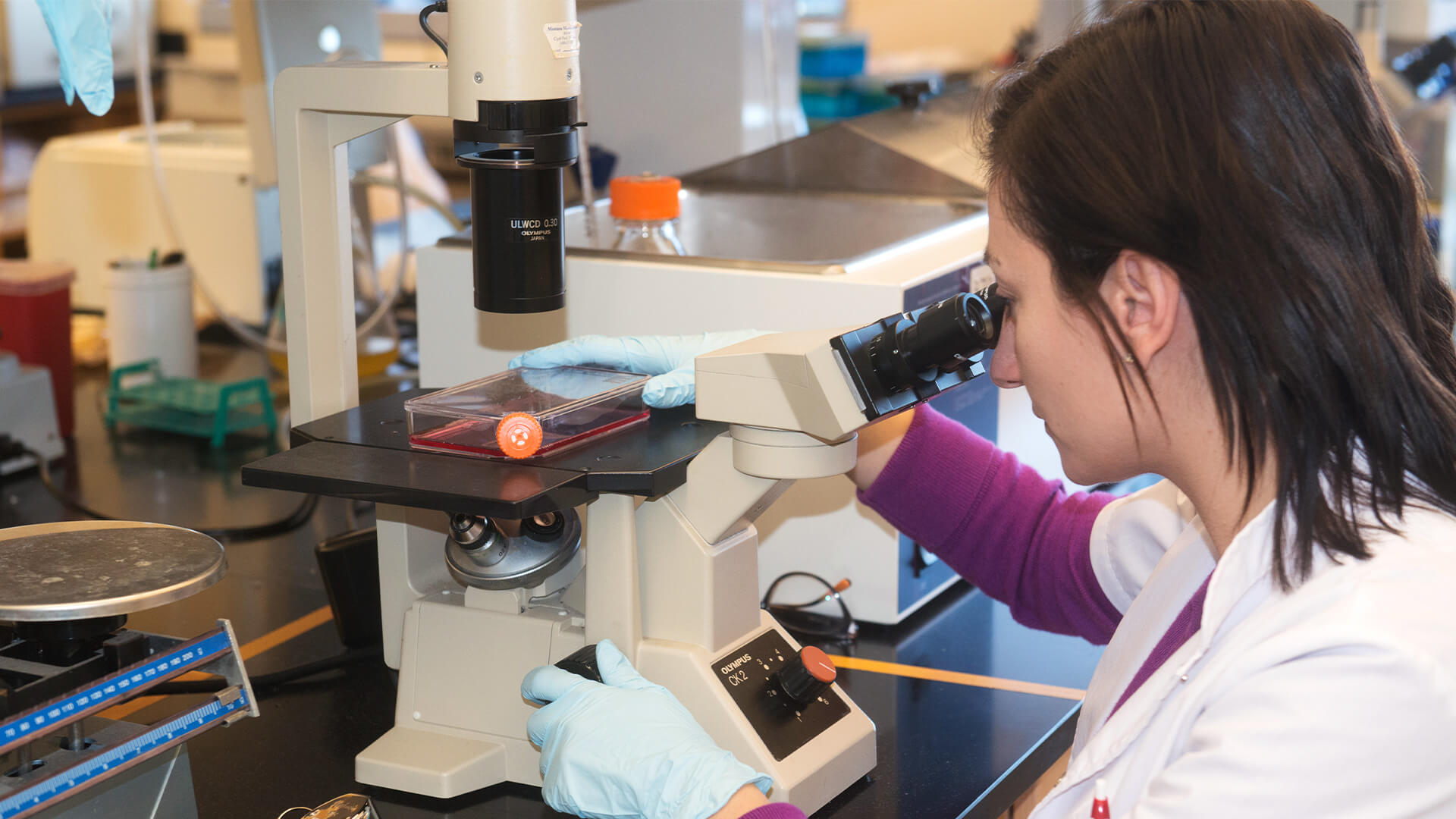 Student looking through microscope