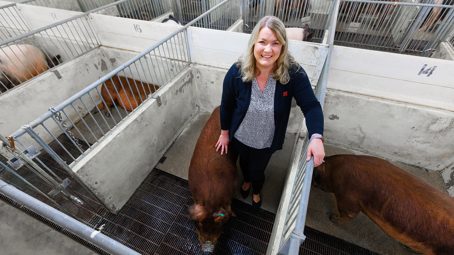 Faculty member standing by pig in building