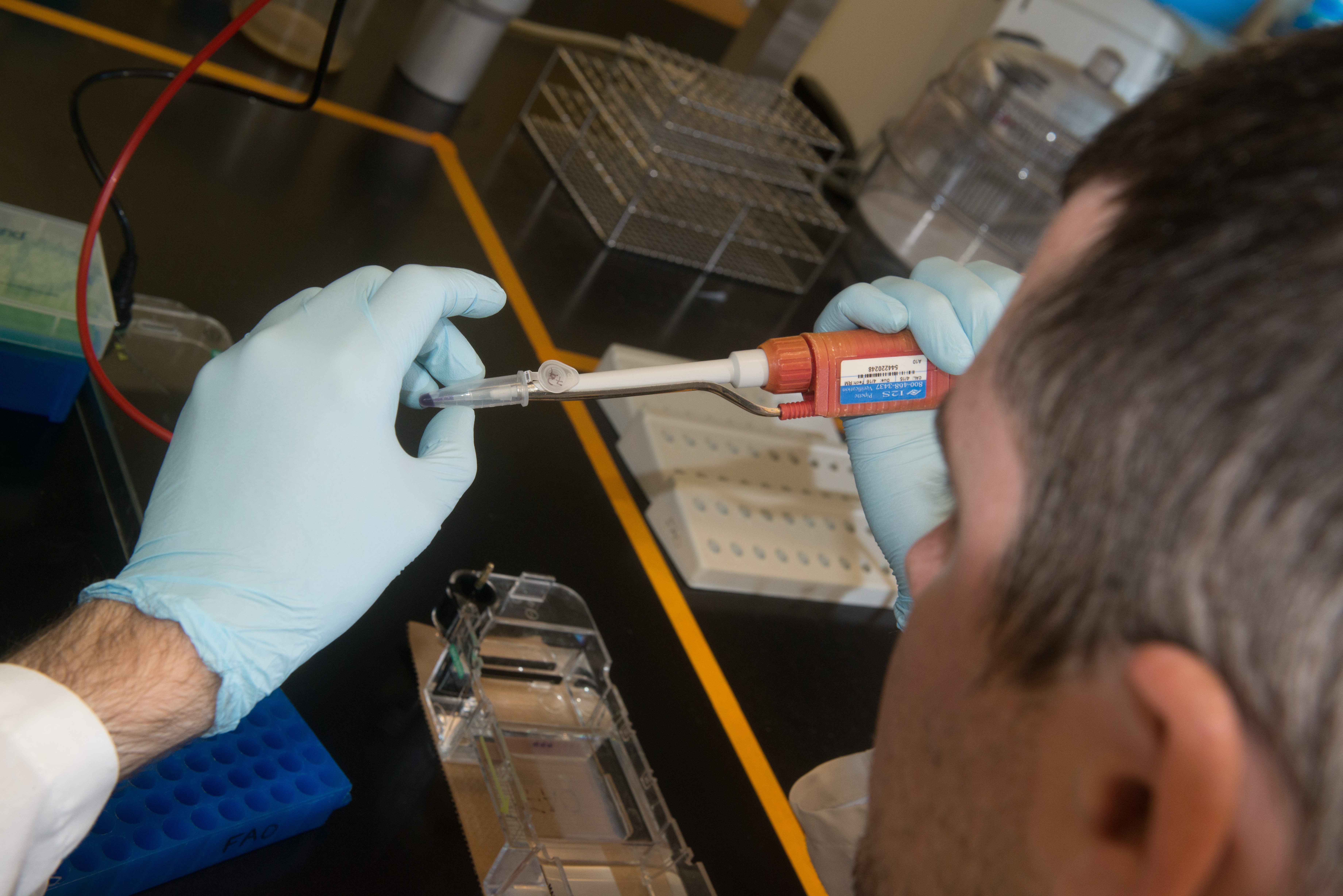 Student working in a laboratory