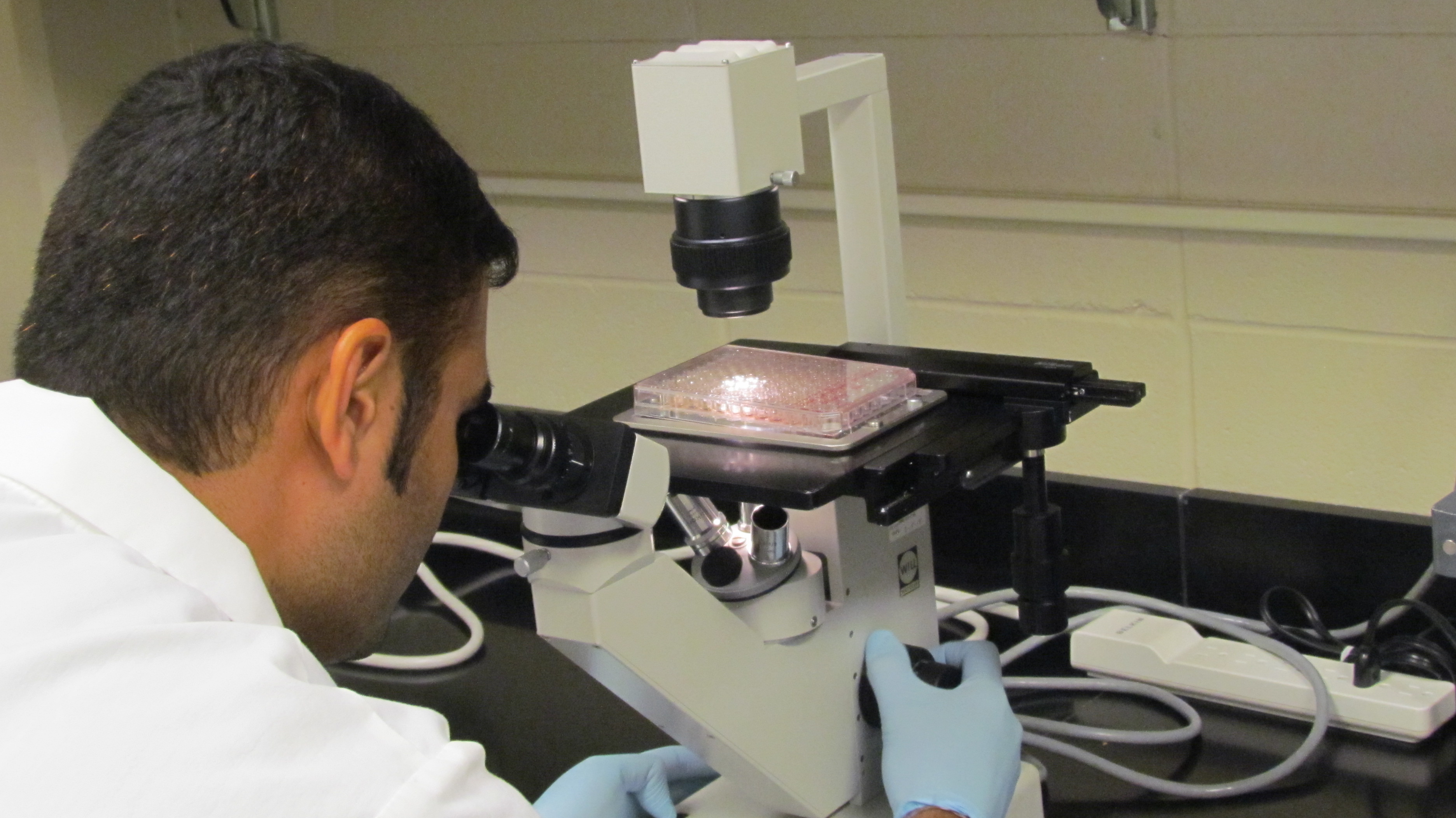 Graduate student working in lab.