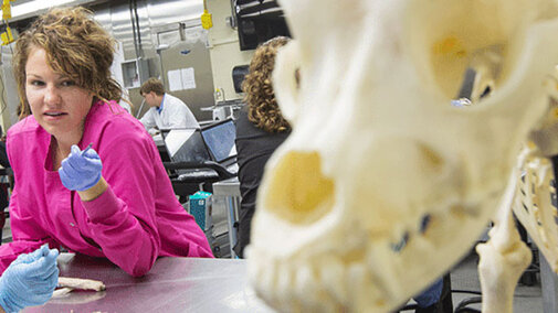 A student points at a skull she's working with in the anatomy lab.