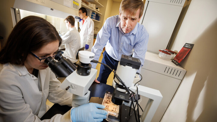 Matthew Wiebe watches as post-doc Allie Krueger works on the microscope while research techs Ethan Ramsey and Zhigang Wang work in the background. Weibe has been awarded a new NIH R01 grant. His research focuses on virus-host interaction and molecular signaling when the virus infects the host.
