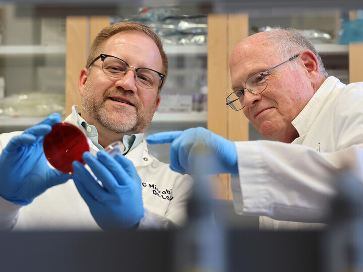 Dustin Loy and Scott McVey examine bacterial culture from a calf with pink eye on a blood auger plate in a lab in the Nebraska Veterinary Diagnostic Center.