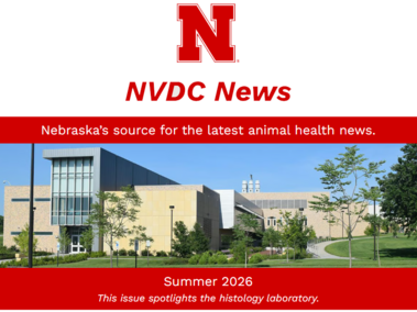 NVDC News banner with a modern building surrounded by trees and grass under a clear sky.