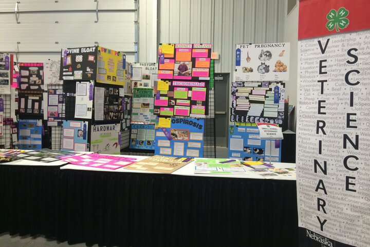 Display at the Nebraska State Fair of posters created by 4-H youth interested in veterinary science.