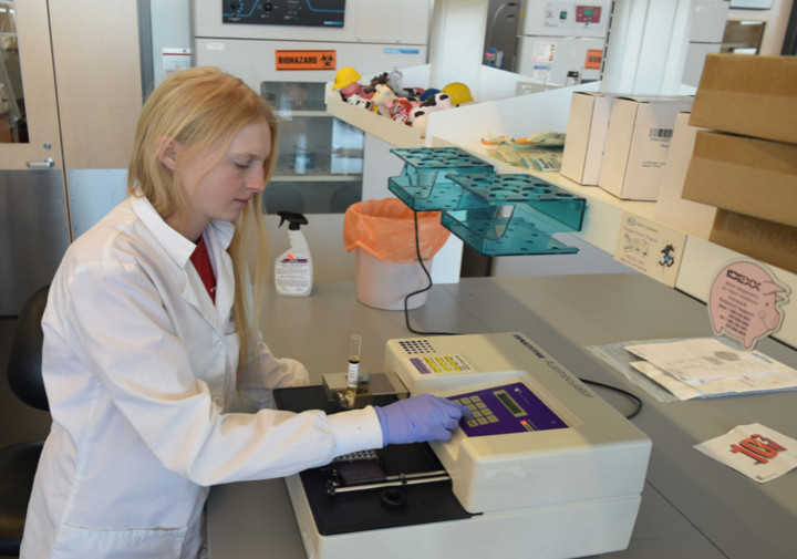 A female  undergraduate student wearing a lab coat uses a piece of equipment in an NVDC lab to conduct testing.